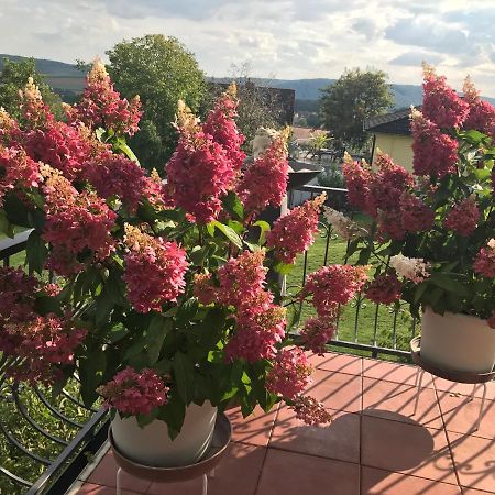Haus Buena Vista Hotel Бад Кисинген Екстериор снимка