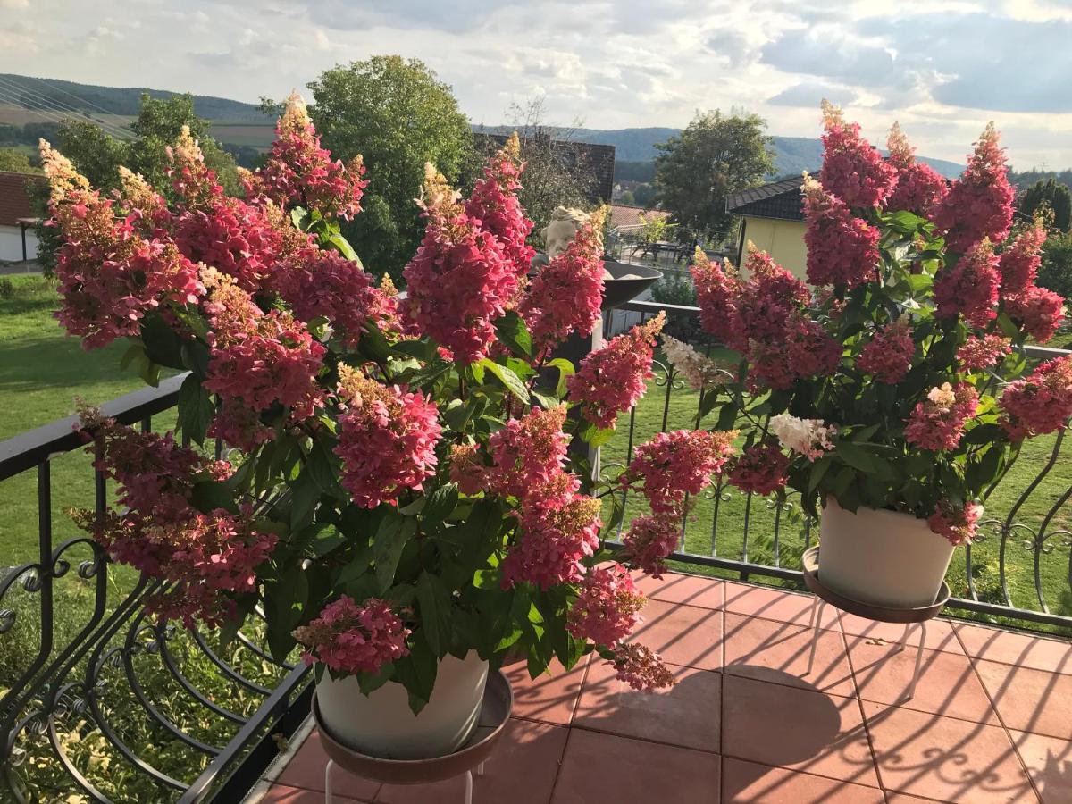 Haus Buena Vista Hotel Бад Кисинген Екстериор снимка